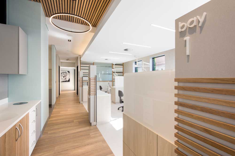 Specialty Orthodontics photo 3