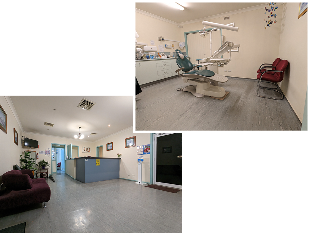 SJ Dental | Wodonga Dentist photo 1