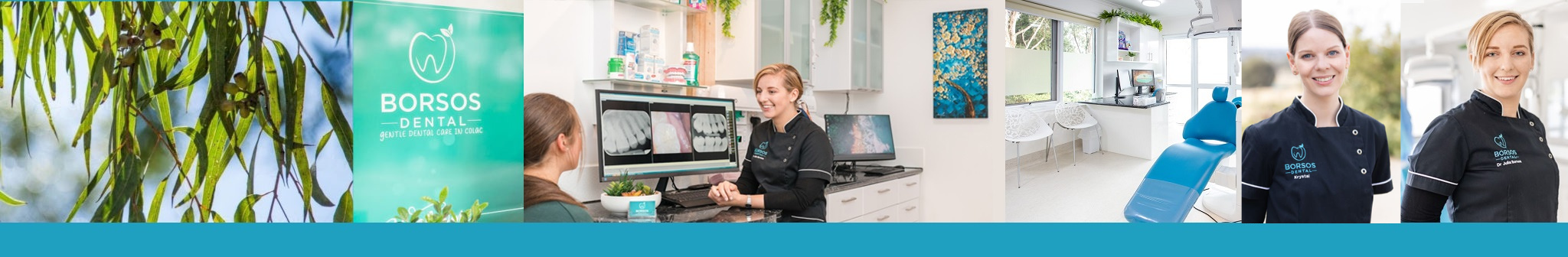 Borsos Dental - gentle dental care in Colac photo