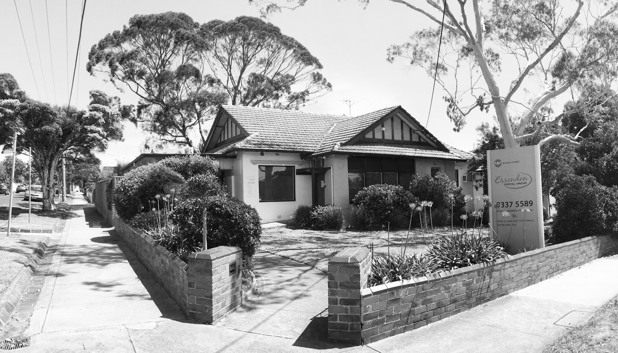 Essendon Dental Group photo