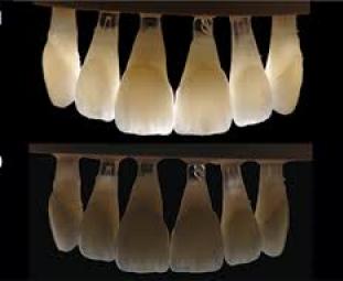 Infinity Dental Laboratory photo 3
